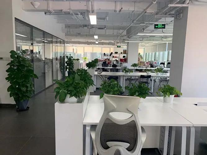 公司环境测试